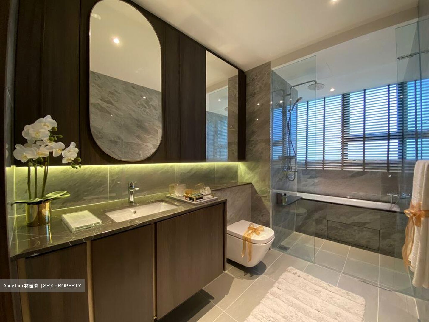 Clavon (D5), Apartment #457266851